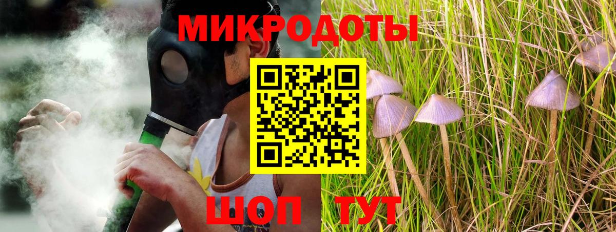 Псилоцибиновые грибы прущие грибы Дербент